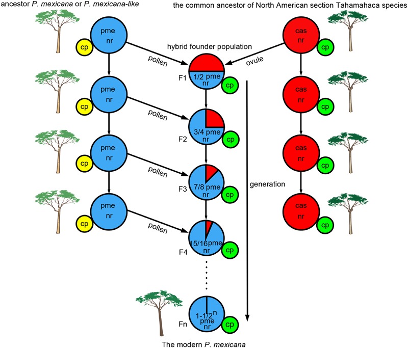 FIGURE 3