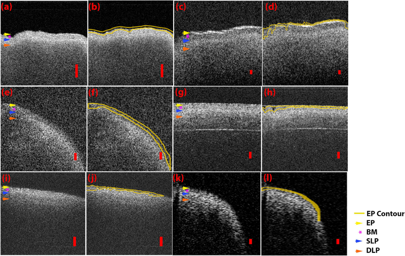 Fig. 5.