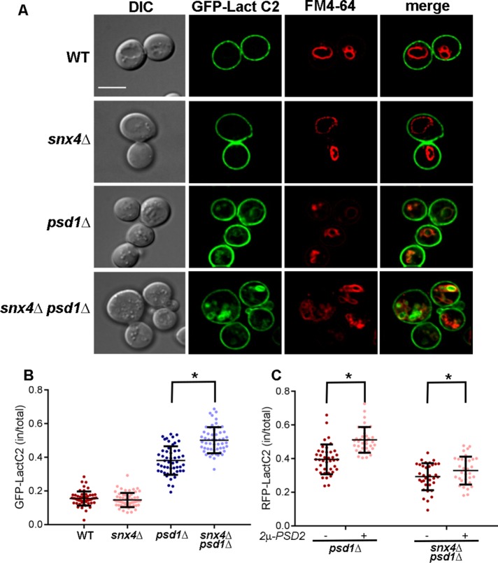 FIGURE 4: