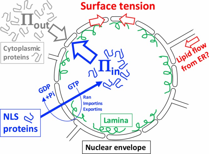 FIGURE 4: