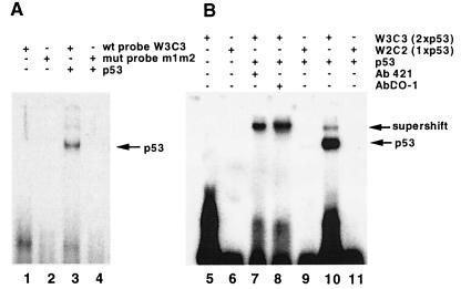 FIG. 8