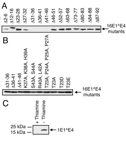 FIG. 5.