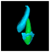 Figure 8