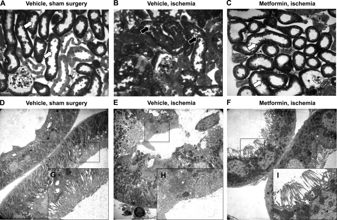 Fig. 9.