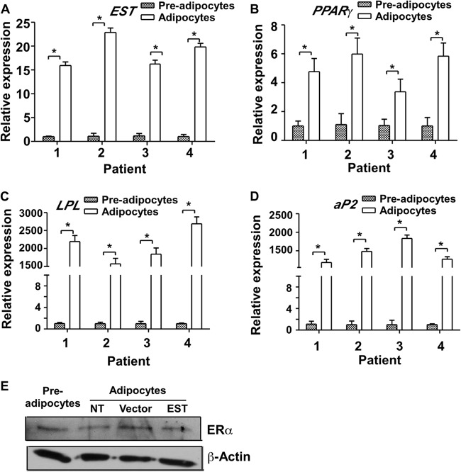 FIG 1