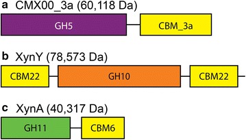 Fig. 1