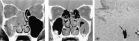 <sc>fig</sc> 2.