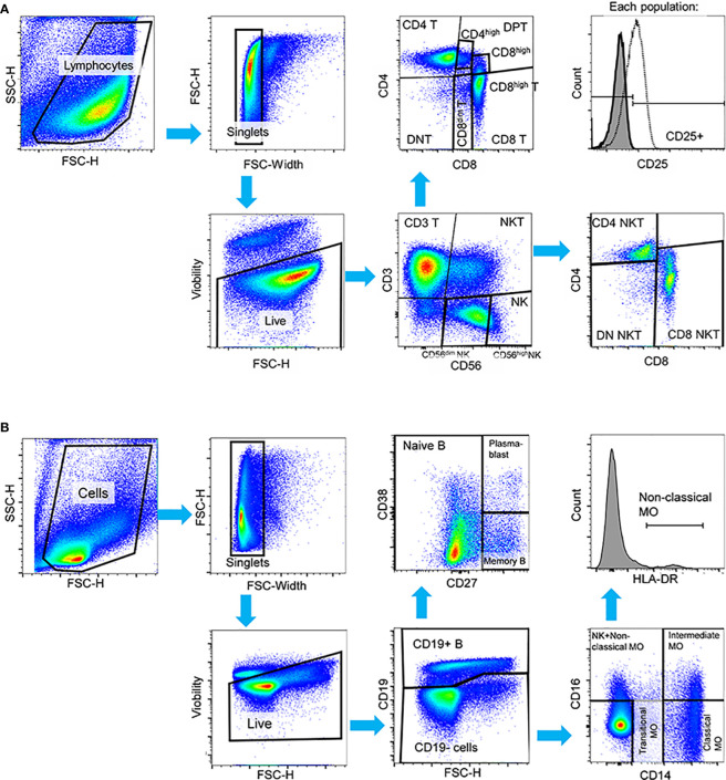 Figure 1