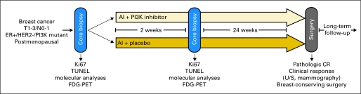 Fig 2.