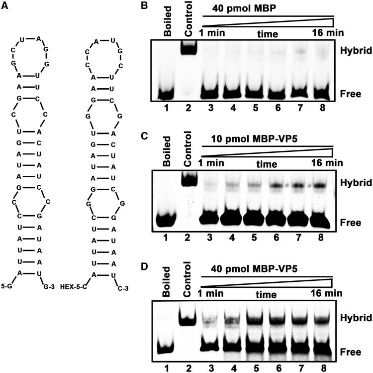 Figure 9.