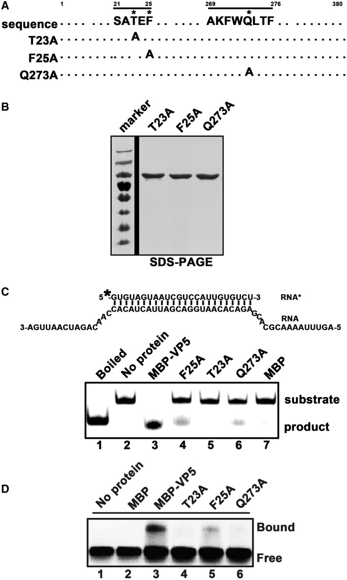 Figure 5.