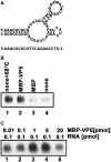 Figure 12.