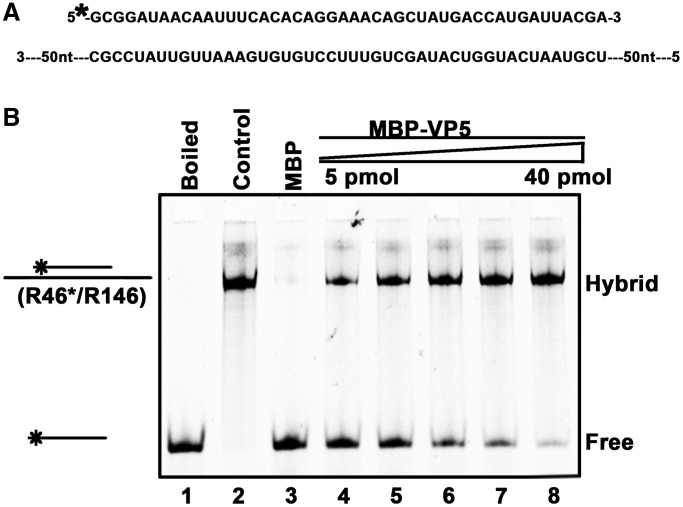 Figure 10.