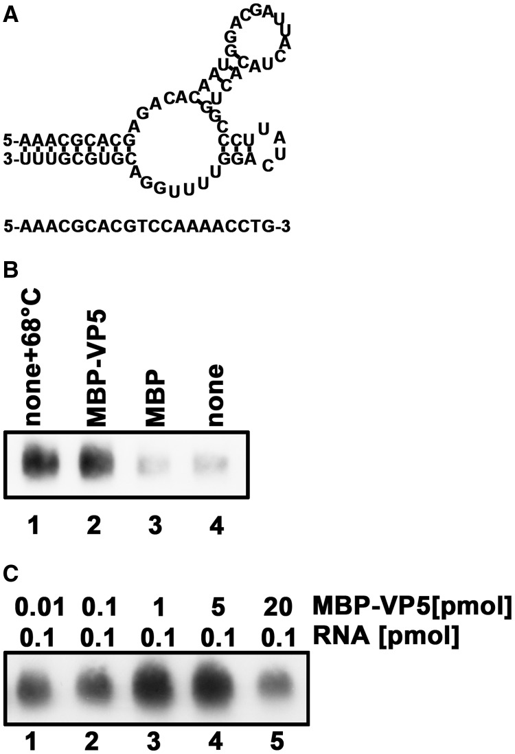 Figure 12.