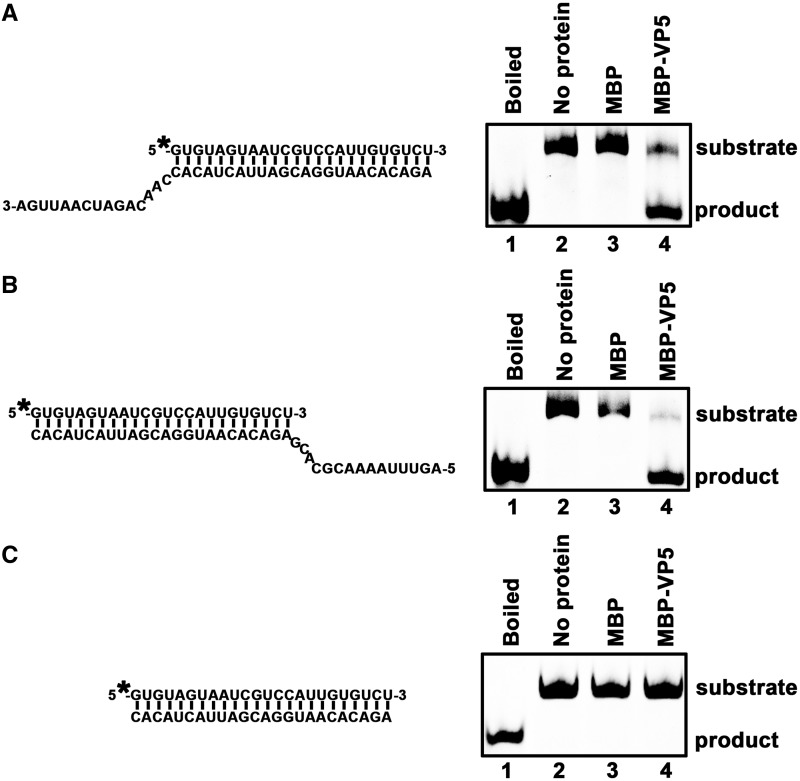 Figure 6.