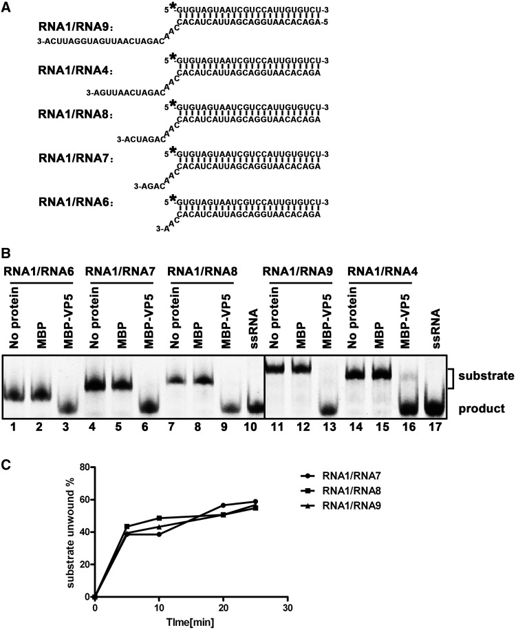 Figure 7.