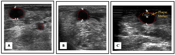 Figure 6