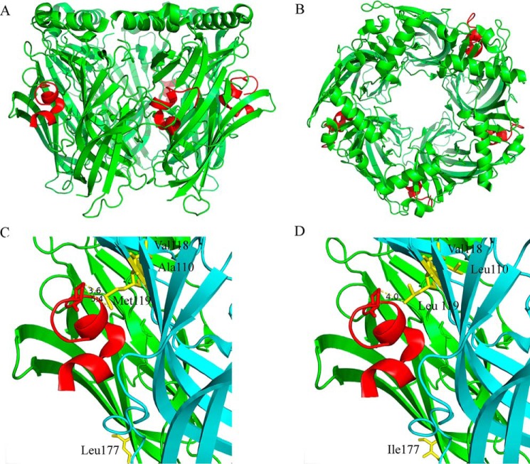 Figure 6.