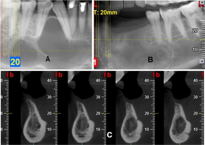 Fig. 4