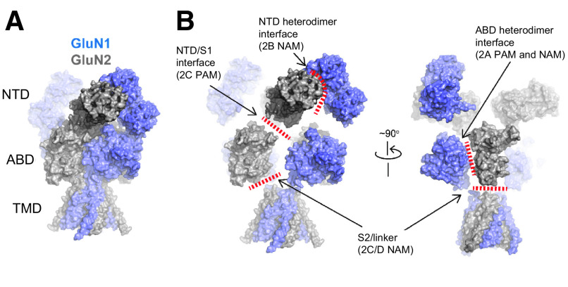 Fig. 43