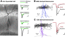 Fig. 29