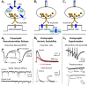 Fig. 26