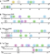 Fig. 11