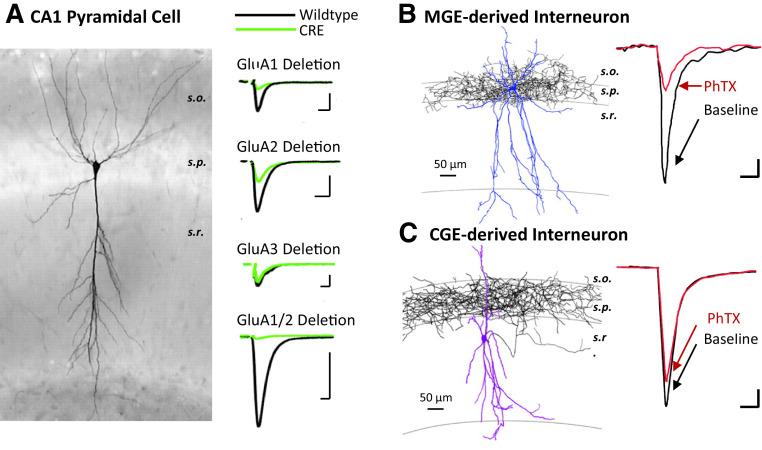 Fig. 29