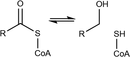 graphic file with name nihms-2034885-t0011.jpg