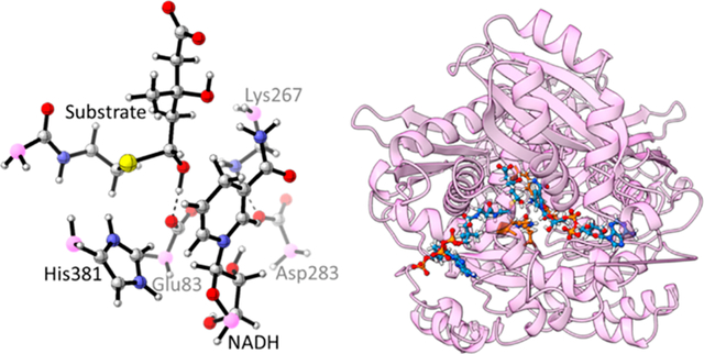 graphic file with name nihms-2034885-f0001.jpg