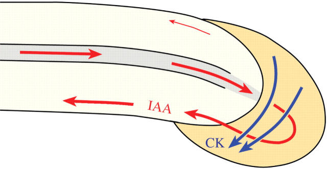 Fig. 4.