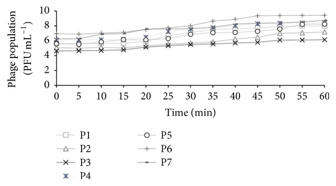 Figure 7