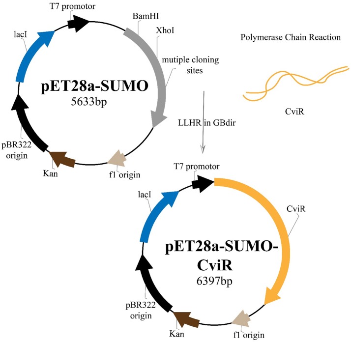 Figure 7