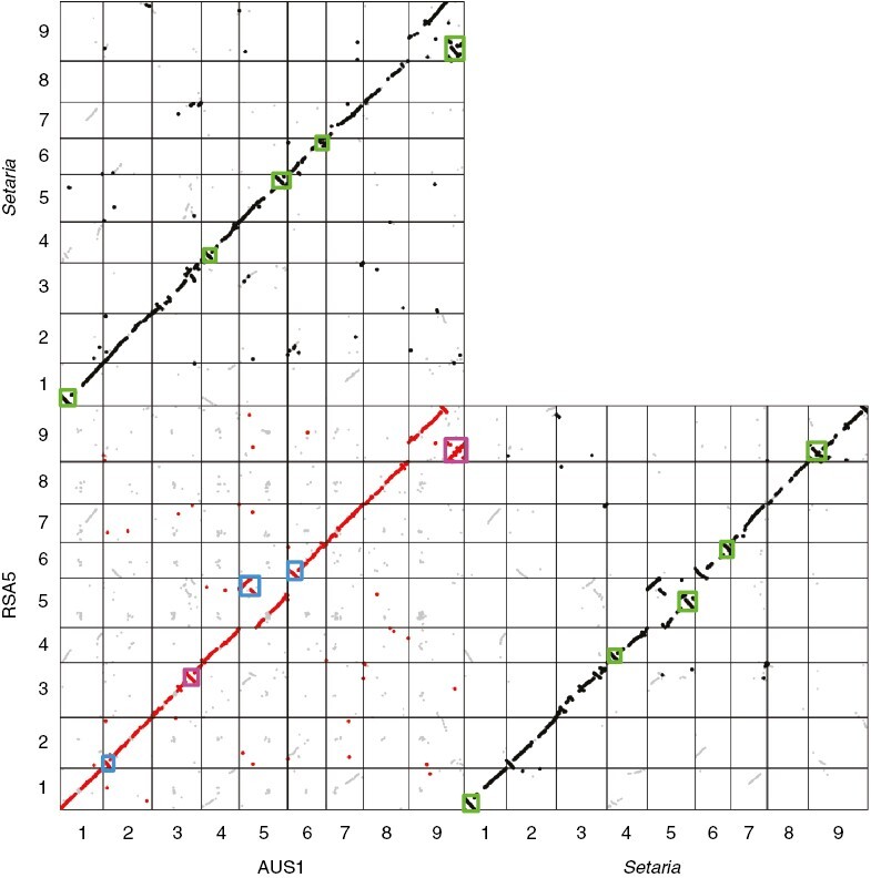 Fig. 6.