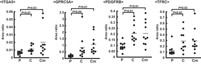 Fig. 3.