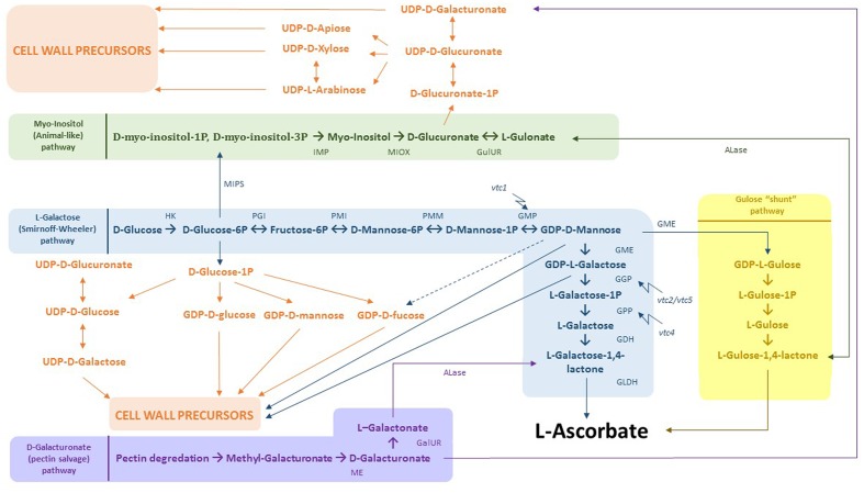 FIGURE 4