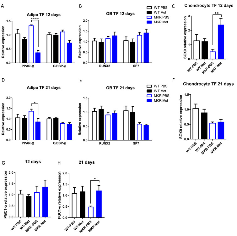 Figure 1—figure supplement 2.