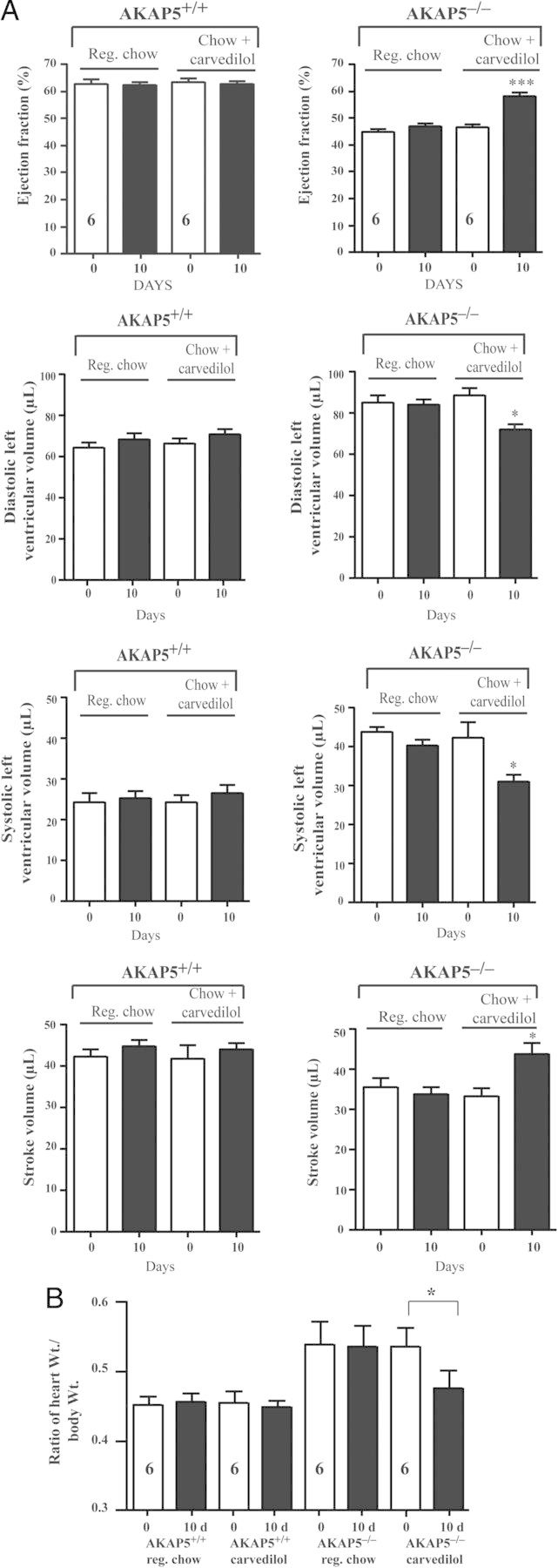 Figure 6