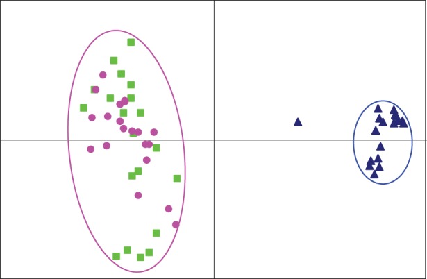 Figure 4.