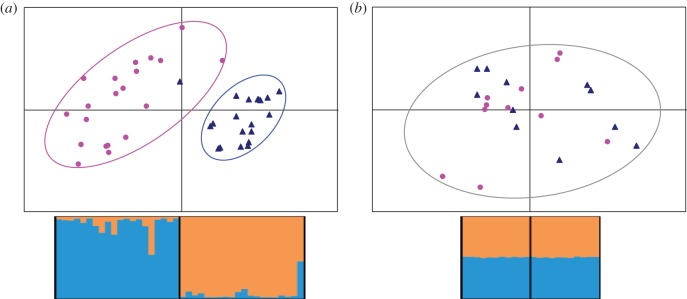 Figure 2.