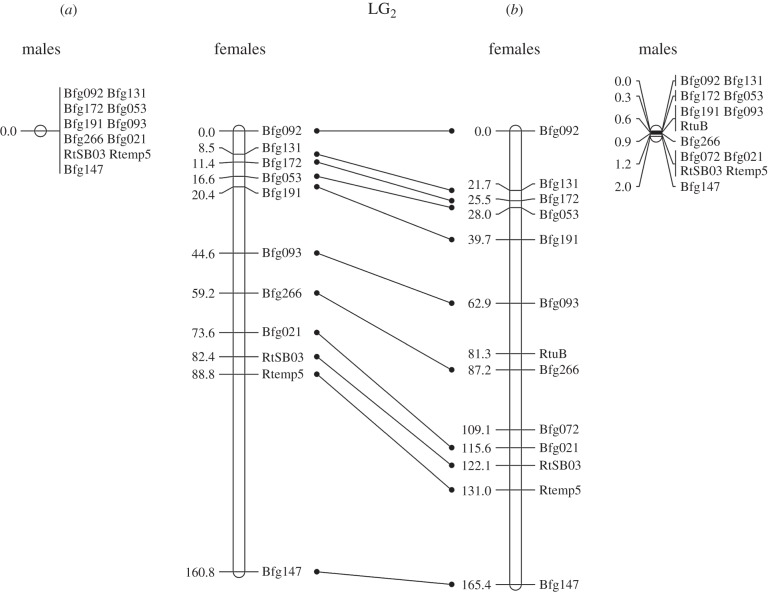 Figure 3.