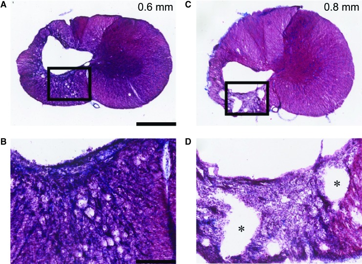 FIG. 8.