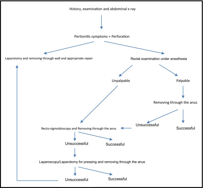 FIGURE 4
