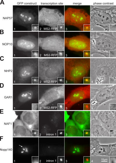 Figure 4.