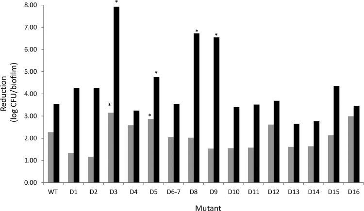 FIG 1