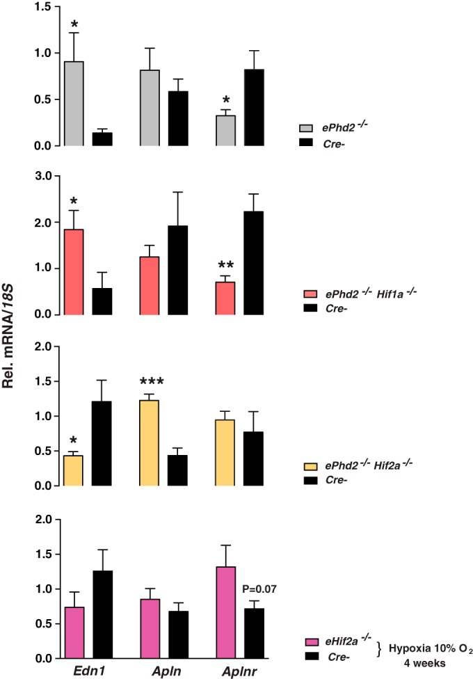 FIG 6