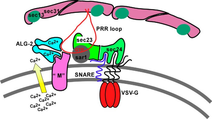 FIGURE 11.