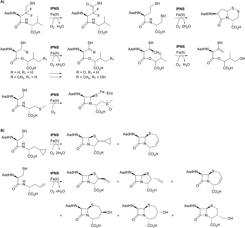 Fig. 6