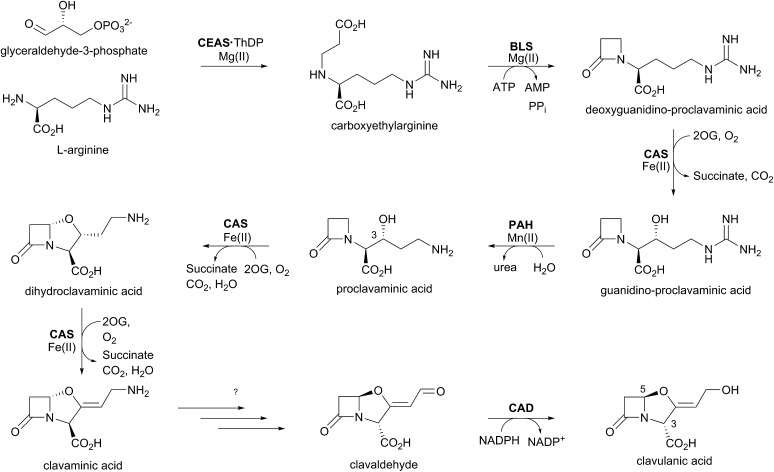 Fig. 9