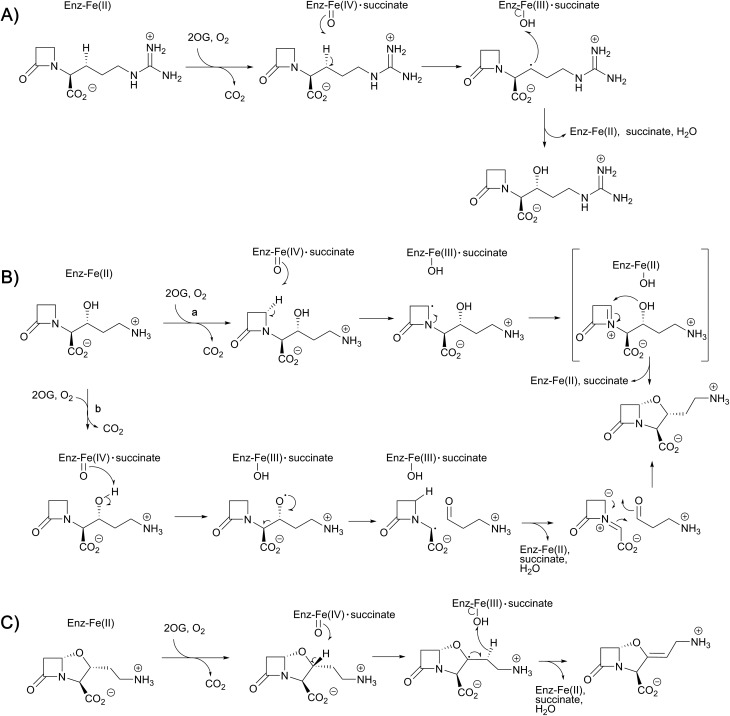 Fig. 10